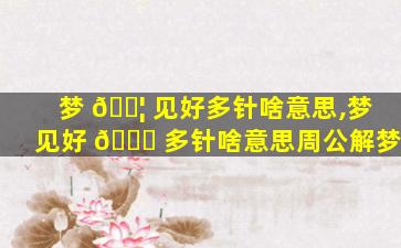 梦 🐦 见好多针啥意思,梦见好 🐞 多针啥意思周公解梦
